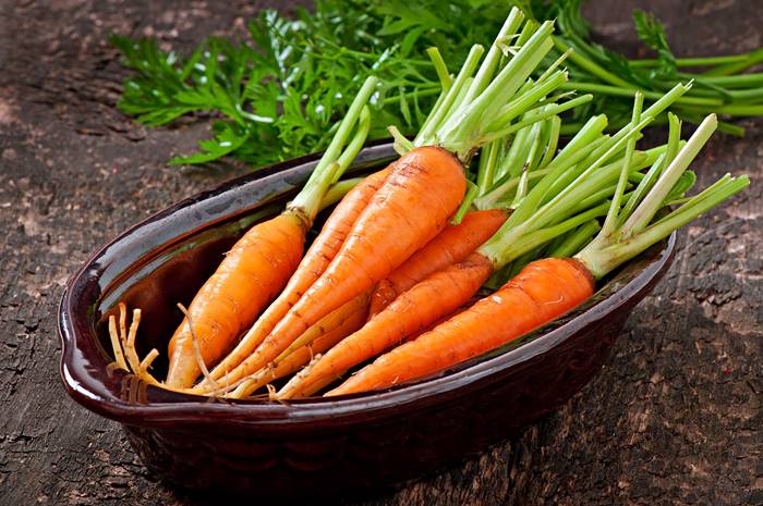 7-jenis-makanan-yang-dapat-melawan-kanker-review-reishi-wortel